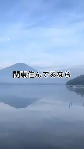 旅人怪物のTikTok投稿