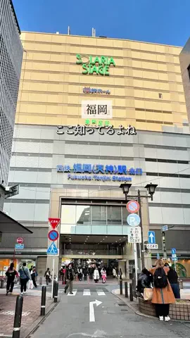 koie_no_gurumeのTikTok投稿