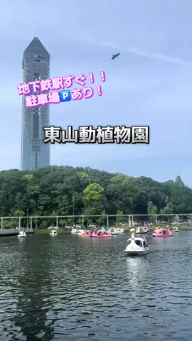 ☘️えりんこ☘️👽のTikTok投稿