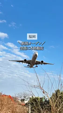 koie_no_gurumeのTikTok投稿