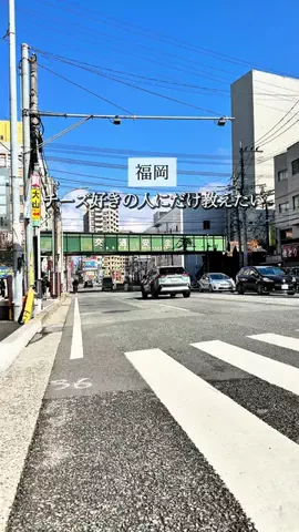 koie_no_gurumeのTikTok投稿