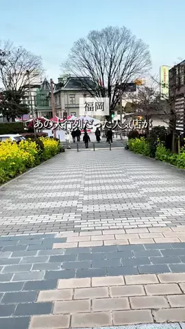 koie_no_gurumeのTikTok投稿