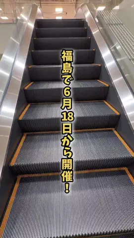 福島情報局|福島1どこにでも行く総合メディアのTikTok投稿