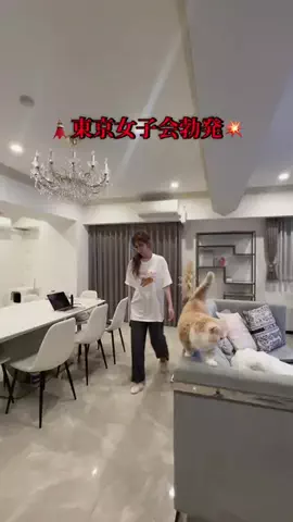 浦西ひかる🍧🤍のTikTok投稿
