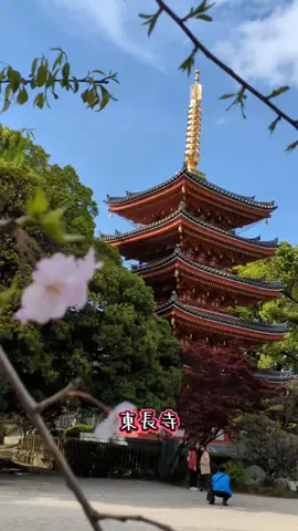 たちのTikTok投稿