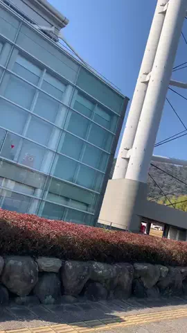 たちのTikTok投稿