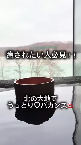 るな  | アラサーOLホテル巡りのTikTok投稿