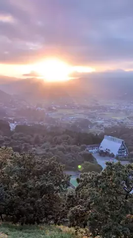 たちのTikTok投稿