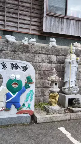 たちのTikTok投稿