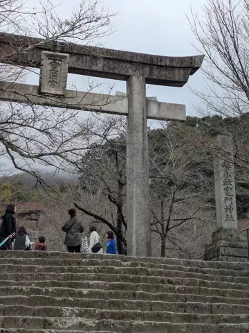 たちのTikTok投稿