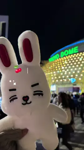 べる🔔大人オタクの収納・推し活のTikTok投稿
