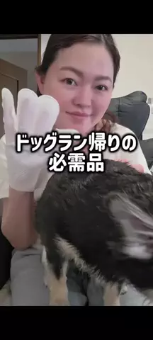 レオンママ🌻🐯｜バズ商品紹介のTikTok投稿