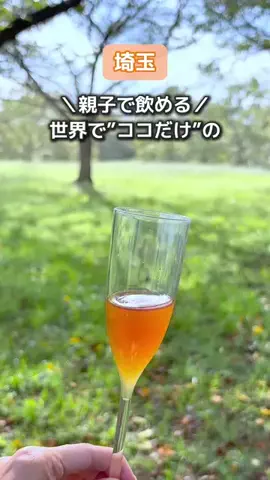 あや🍑埼玉西部発▶︎子連れおでかけのTikTok投稿