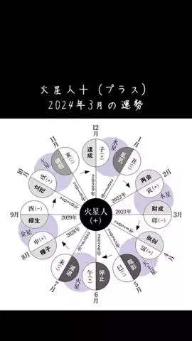 プー⭐️六星占術のTikTok投稿