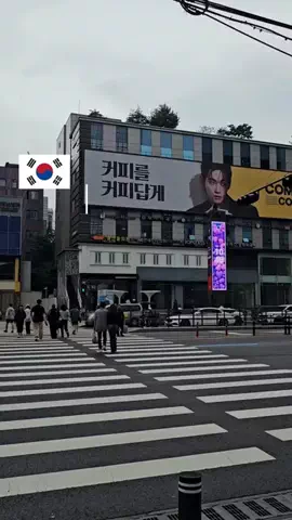 nekkorea(ねっこりあ) | リアルな韓国ガイドブックのTikTok投稿