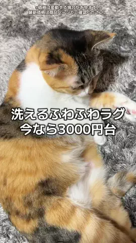 6にゃんずママのTikTok投稿
