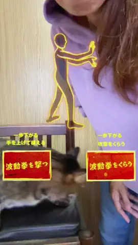 6にゃんずママのTikTok投稿