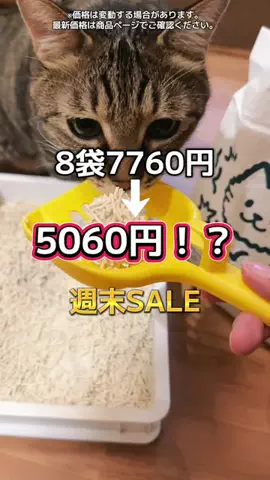 6にゃんずママのTikTok投稿