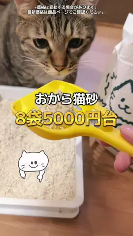 6にゃんずママのTikTok投稿