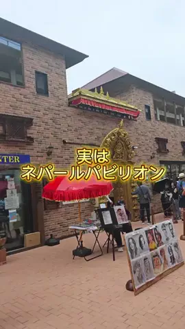 万博にゃんこ｜旅行のお得・旅情報✈️のTikTok投稿