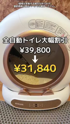 6にゃんずママのTikTok投稿
