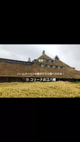 ゆるとらちゃん | TravelerのTikTok投稿