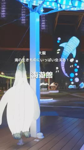 ゆるとらちゃん | TravelerのTikTok投稿