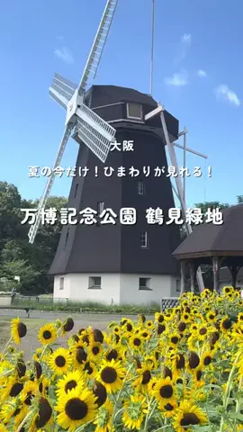 ゆるとらちゃん | TravelerのTikTok投稿