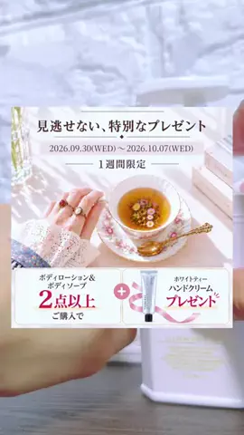 6にゃんずママのTikTok投稿