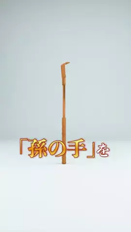 どうもプッカですのTikTok投稿