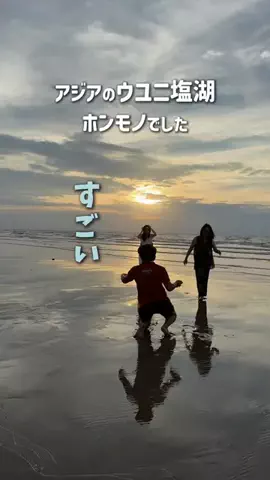 くろねこしろねこ😸海外旅行🌏のTikTok投稿