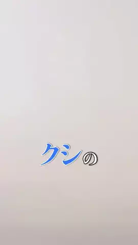 どうもプッカですのTikTok投稿