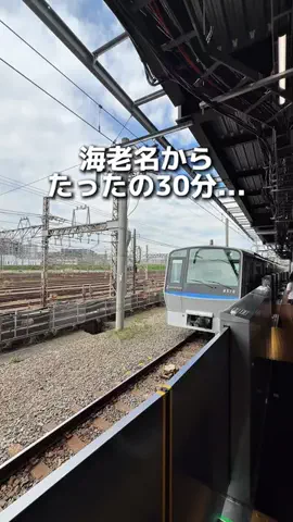 えびなびのTikTok投稿