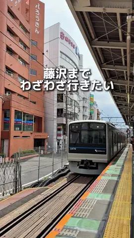えびなびのTikTok投稿