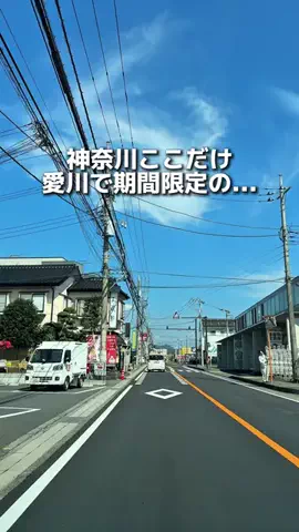 えびなびのTikTok投稿