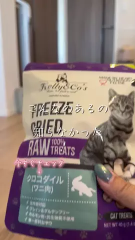🐈もずあずちゃんねる🐈のTikTok投稿