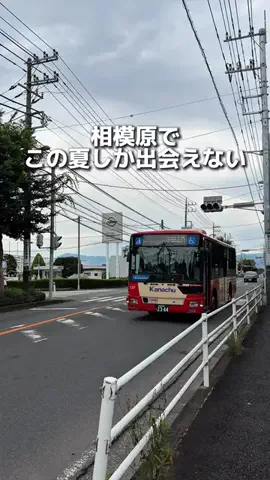 えびなびのTikTok投稿