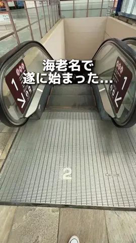 えびなびのTikTok投稿