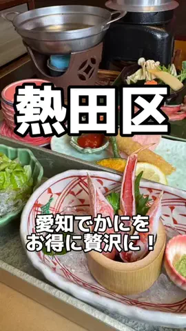 愛知グルメ【あいぐる】のTikTok投稿