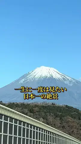 Skydaruma(ダルちゃん)のTikTok投稿