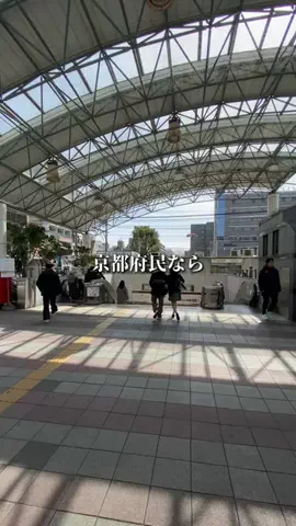 京都グルメ／KYOTO SELECTのTikTok投稿