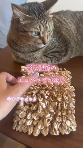 🐈もずあずちゃんねる🐈のTikTok投稿