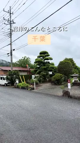 ゆき姉｜60代、千葉・内房ひとり旅グルメのTikTok投稿