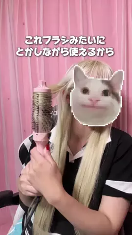 井伊ちゃんのTikTok投稿