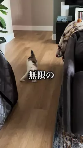 九海のTikTok PR投稿：リアルの友達が増えました。 #NewMatch #ニューマッチ @NewMat…