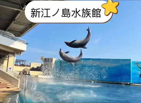 nhatngu1phutのTikTok投稿