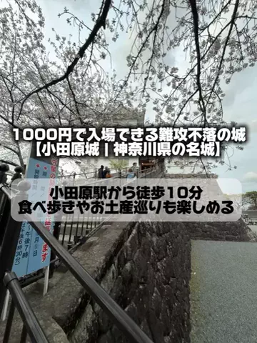 日本グルメのTikTok投稿