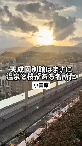 日本グルメのTikTok投稿