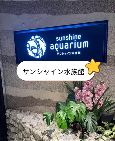 nhatngu1phutのTikTok投稿