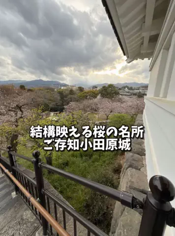 日本グルメのTikTok投稿